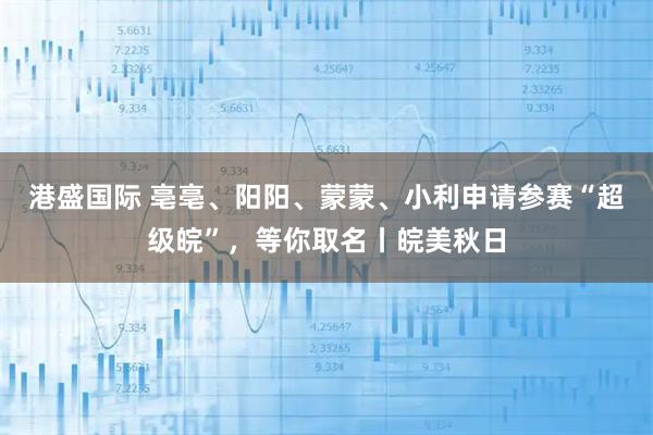 港盛国际 亳亳、阳阳、蒙蒙、小利申请参赛“超级皖”，等你取名丨皖美秋日